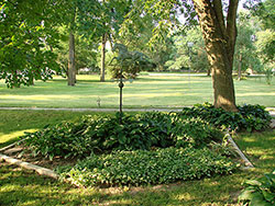 Cowles House - Bentonsport Iowa - Gardens