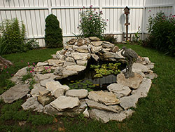 Closeup of Water Garden