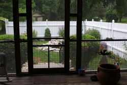 View of Water Garden from Screened Porch